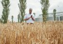 Rendere sostenibile la filiera agricola grazie al digitale: la sfida di Barilla insieme a xFarm