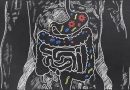 LA SALUTE PASSA DALL’INTESTINO: LE NUOVE FRONTIERE DELLA RICERCA SUL MICROBIOTA